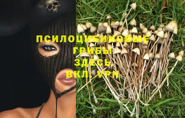 ALPHA PVP Алексин